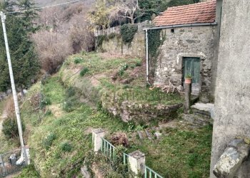 WhatsApp Image 2025-12-22 at 16.15.12 (6).jpeg - Casale Loc. Le Cassonare  snc, Calice al Cornoviglio - foto 22