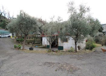 Area esterna - Villa Via Chiesa Vecchia di Bana, Camogli - foto 9