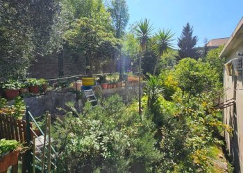 Giardino - Villa Via Chiesa Vecchia di Bana, Camogli - foto 21