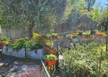 Giardino - Villa Via Chiesa Vecchia di Bana, Camogli - foto 22