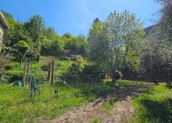 Fascia pianeggiante - Villa Via Chiesa Vecchia di Bana, Camogli - foto 29