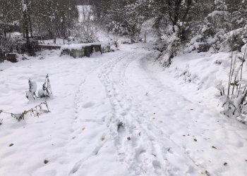 WhatsApp Image 2025-12-03 at 17.27.54 (3).jpeg - Casale Farini - photo 9