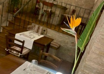 IMG-20260108-WA0050.jpg - Ristorante via umberto I, Lugnano in Teverina - foto 3