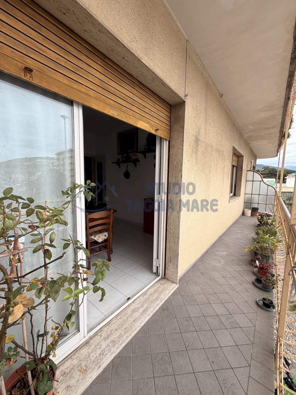 5.JPG - Three-room apartment Via Stazione 50, Taggia - photo 1