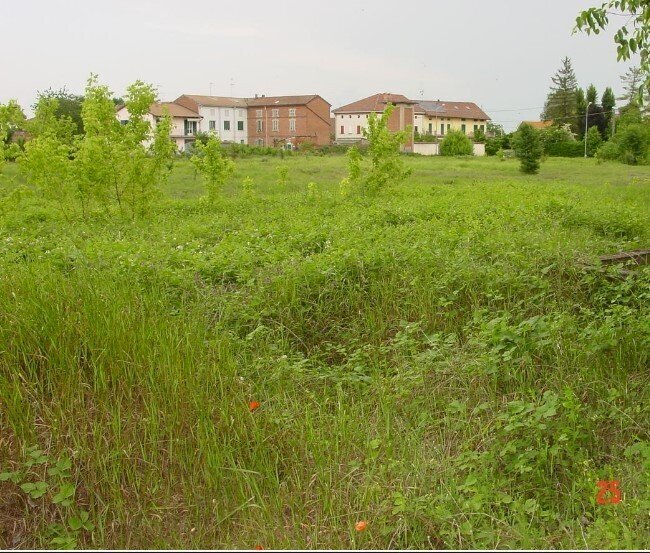 1.jpg - Terreno edificabile all'asta Strada Acqui Cantalupo snc, Alessandria - foto 1