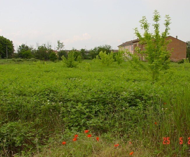 2.jpg - Terreno edificabile all'asta Strada Acqui Cantalupo snc, Alessandria - foto 2