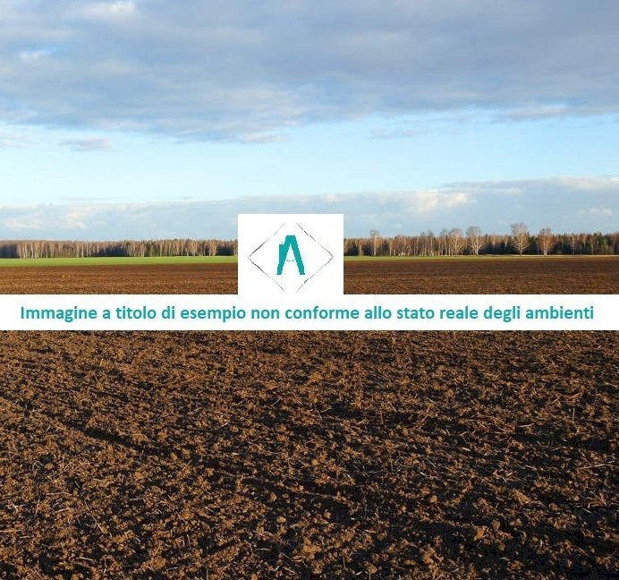 Terreno 3.jpg - Terreno edificabile all'asta Strada Acqui Cantalupo snc, Alessandria - foto 3