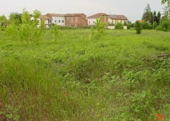 1.jpg - Terreno edificabile all'asta Strada Acqui Cantalupo snc, Alessandria - foto 1