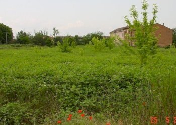 2.jpg - Terreno edificabile all'asta Strada Acqui Cantalupo snc, Alessandria - foto 2
