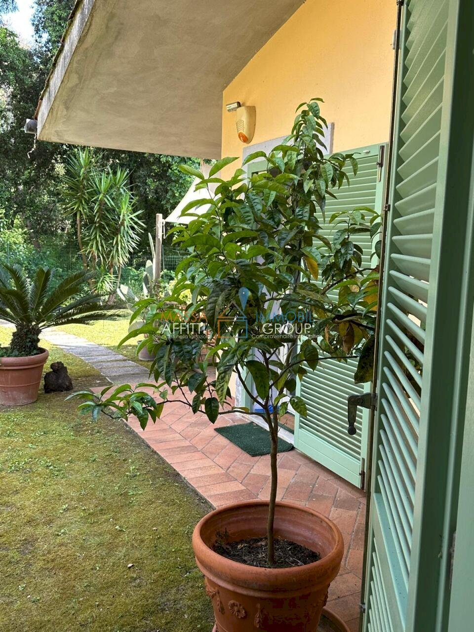 WhatsApp Image 2026-01-15 at 08.46.22 (5).jpeg - Terraced Villa Via Ronchi 10, Massa - photo 3