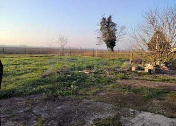 2.jpg - Trilocale Via Selva 2844, Crespino - foto 3