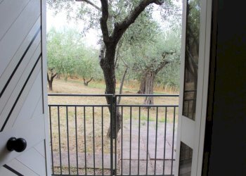 IMG_2042.JPG - Villa Contrada Santa Maria dei Mesi 18, Lanciano - foto 5