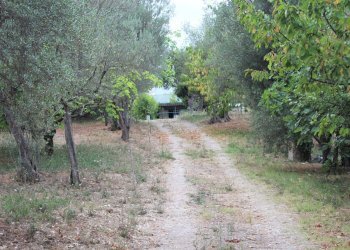 IMG_2070.JPG - Villa Contrada Santa Maria dei Mesi 18, Lanciano - foto 20