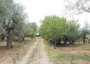 IMG_2033.JPG - Villa Contrada Santa Maria dei Mesi 18, Lanciano - foto 21
