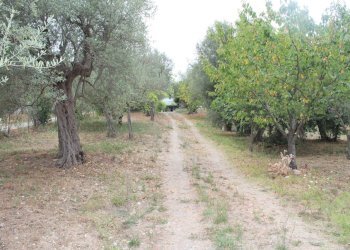 IMG_2071.JPG - Villa Contrada Santa Maria dei Mesi 18, Lanciano - foto 22