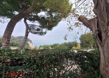 20251202_122541.jpg - Villa Via Giacomo Matteotti 10, Numana - foto 8