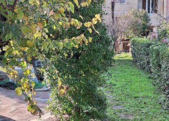 20251203_131451.jpg - Villa Via Giacomo Matteotti 10, Numana - foto 9