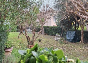 20251202_122424.jpg - Villa Via Giacomo Matteotti 10, Numana - foto 10