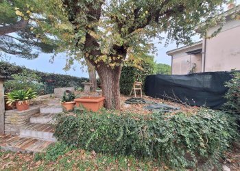 20251202_122608.jpg - Villa Via Giacomo Matteotti 10, Numana - foto 11