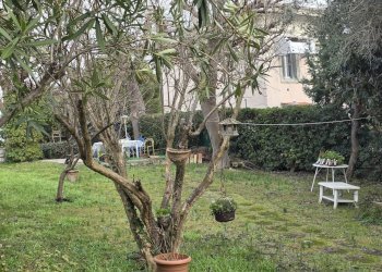 20260110_142910.jpg - Villa Via Giacomo Matteotti 10, Numana - foto 15