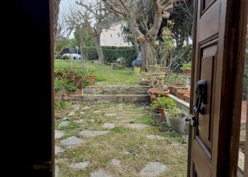 20260110_140819.jpg - Villa Via Giacomo Matteotti 10, Numana - foto 18