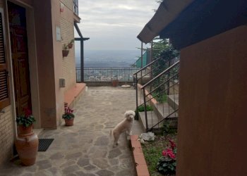 20260114_160628_resized.jpg - Appartamento via dei villini 35, Fara in Sabina - foto 4