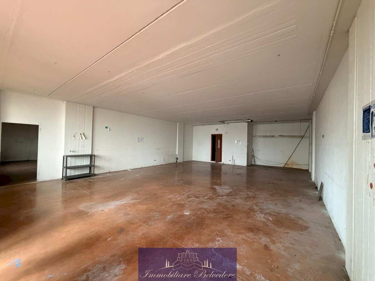 WhatsApp Image 2026-01-09 at 15.33.56 (1).jpeg - Locale Commerciale Via Codignola, Scandicci - foto 2