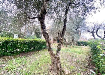 photo_11_2026-01-16_09-59-40.jpg - Bilocale Via Poggiberna, Santa Luce - foto 4