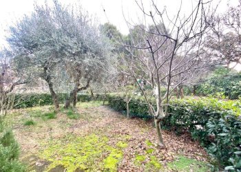 photo_12_2026-01-16_09-59-40.jpg - Bilocale Via Poggiberna, Santa Luce - foto 5