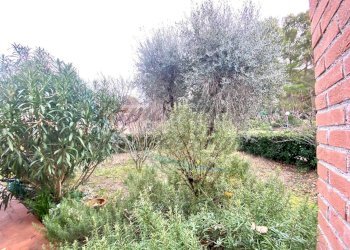 photo_6_2026-01-16_09-59-40.jpg - Bilocale Via Poggiberna, Santa Luce - foto 6