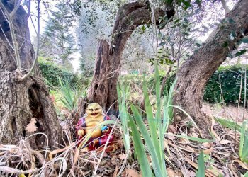 photo_7_2026-01-16_09-59-40.jpg - Bilocale Via Poggiberna, Santa Luce - foto 7