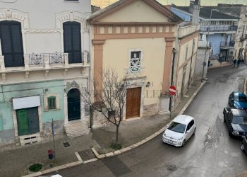 6abcc58d-1ac5-449c-8a38-a19ca7542ae2.jpg - Independent house Via Avvocato Nicola Bavaro 2, Sannicandro di Bari - photo 13