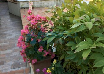 5.jpg - Casa indipendente Via Canale, Castelnuovo Magra - foto 7