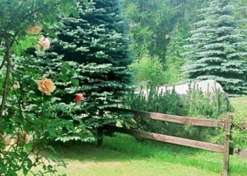 PHOTO-2025-12-15-12-11-53 (1).jpg - Bilocale Via Rohrbach 34, Pragelato - foto 22