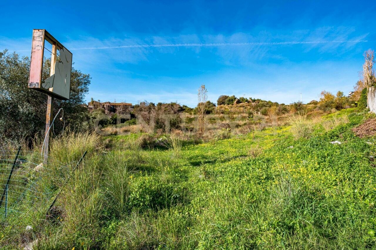 DSC01615.jpg - Terreno agricolo Via Vampolieri, Aci Castello - foto 3