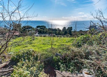 DSC01650.jpg - Terreno agricolo Via Vampolieri, Aci Castello - foto 1