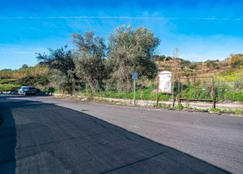 DSC01614.jpg - Terreno agricolo Via Vampolieri, Aci Castello - foto 2