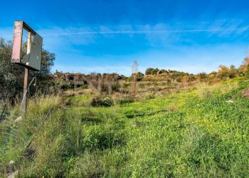 DSC01615.jpg - Terreno agricolo Via Vampolieri, Aci Castello - foto 3