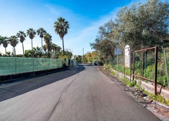 DSC01616.jpg - Terreno agricolo Via Vampolieri, Aci Castello - foto 4