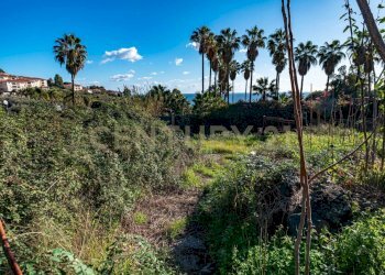 DSC01621.jpg - Terreno agricolo Via Vampolieri, Aci Castello - foto 9