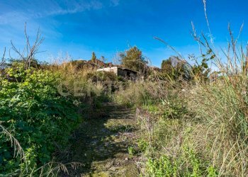 DSC01622.jpg - Terreno agricolo Via Vampolieri, Aci Castello - foto 10