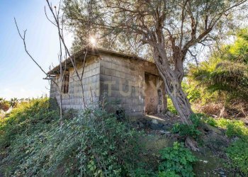 DSC01623.jpg - Terreno agricolo Via Vampolieri, Aci Castello - foto 11