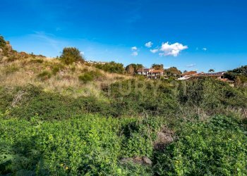 DSC01624.jpg - Terreno agricolo Via Vampolieri, Aci Castello - foto 12