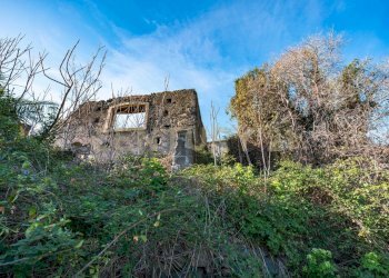 DSC01625.jpg - Terreno agricolo Via Vampolieri, Aci Castello - foto 13
