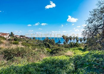 DSC01630.jpg - Terreno agricolo Via Vampolieri, Aci Castello - foto 14
