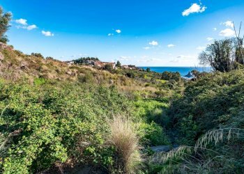 DSC01632.jpg - Terreno agricolo Via Vampolieri, Aci Castello - foto 15