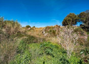 DSC01633.jpg - Terreno agricolo Via Vampolieri, Aci Castello - foto 16