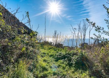 DSC01641.jpg - Terreno agricolo Via Vampolieri, Aci Castello - foto 19