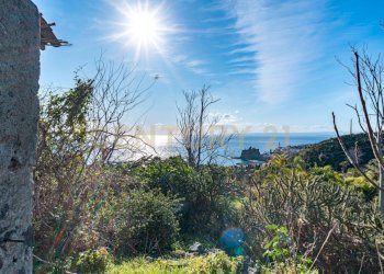 DSC01642.jpg - Terreno agricolo Via Vampolieri, Aci Castello - foto 20