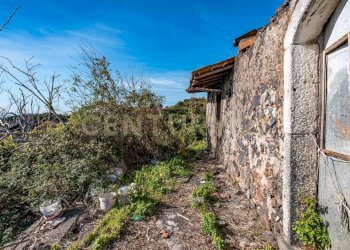 DSC01651.jpg - Terreno agricolo Via Vampolieri, Aci Castello - foto 25